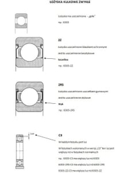 SKF Ložisko 6202-2RSH